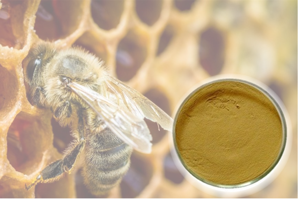Xịt họng Abipolis – Khác biệt chiết xuất keo ong độc quyền sáng chế từ Italy