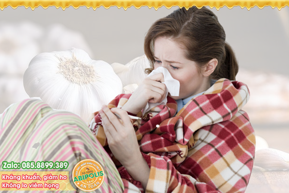 Tỏi – Kháng sinh tự nhiên phòng trị cảm cúm, viêm đường hô hấp