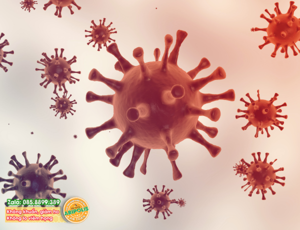 Bệnh cúm A nguy hiểm không? Vaccine phòng bệnh có thực sự hiệu quả?